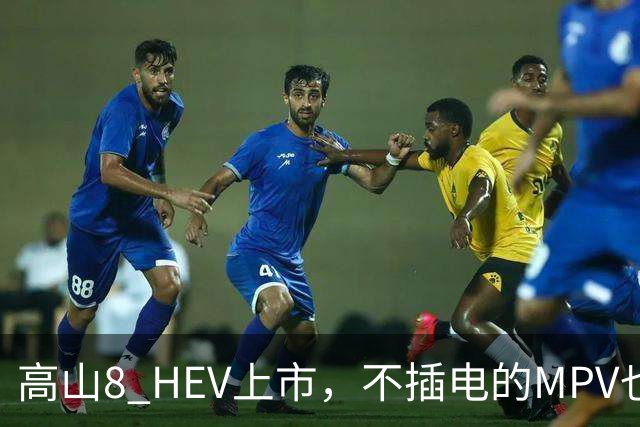高山8 HEV上市，不插电的MPV也配激光雷达